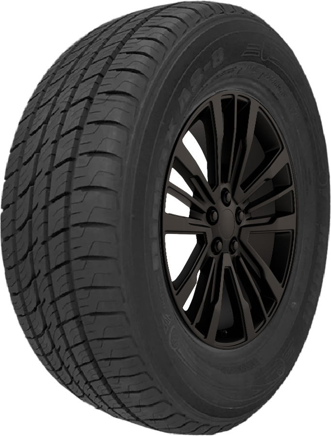 Radar Dimax AS-8 235/30R22 ZR 90Y XL AS A/S All Season Tire